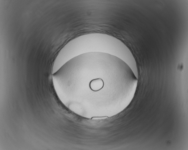 X0000115170041200911251344