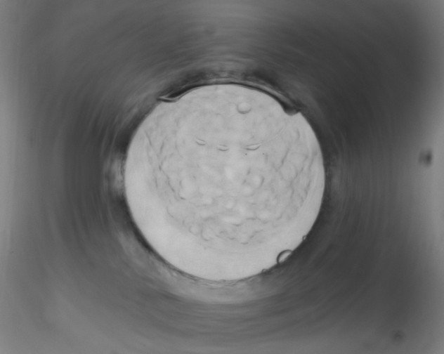 X0000115170042200911251344