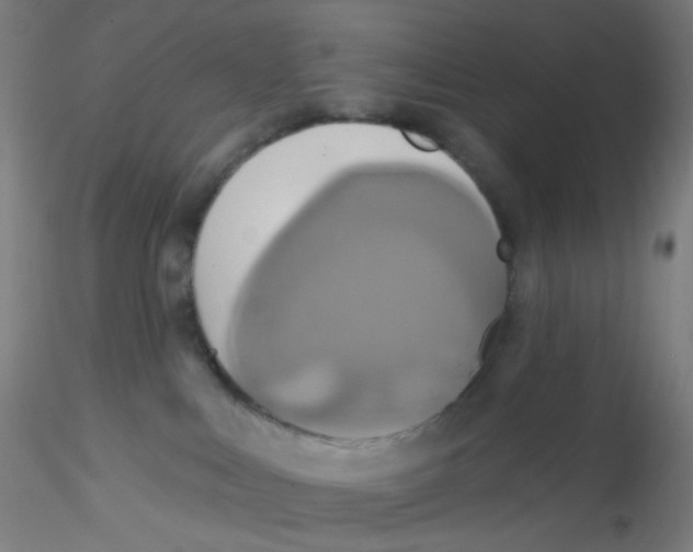 X0000115170043200911251343