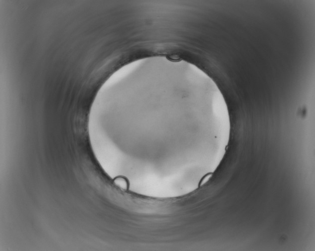 X0000115170044200911251343