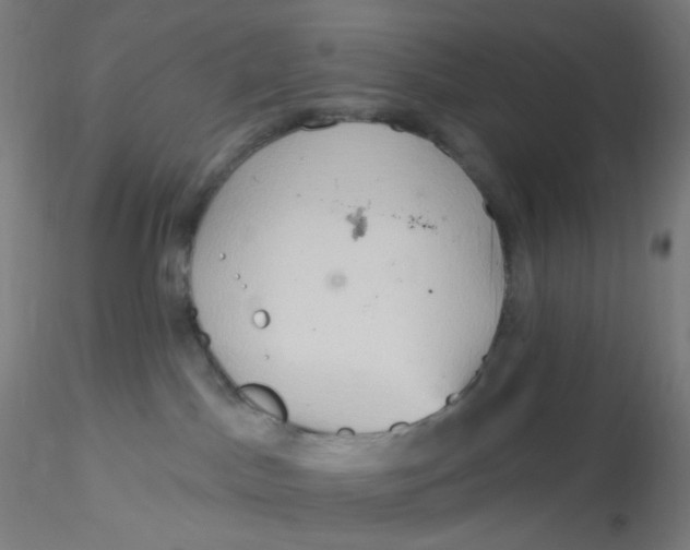 X0000115170045200911251343