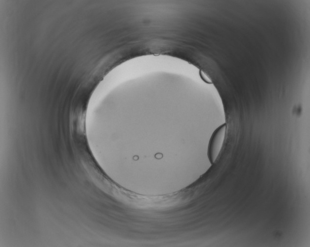 X0000115170046200911251343