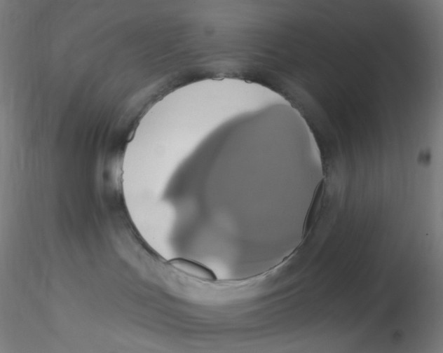 X0000115170047200911251343