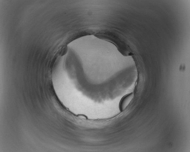 X0000115170048200911251343