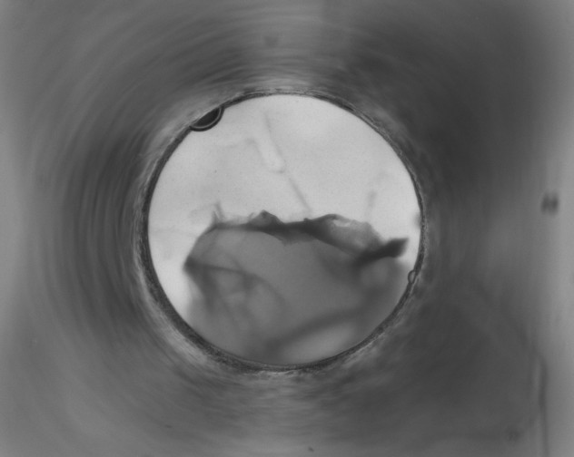 X0000115170049200911251343