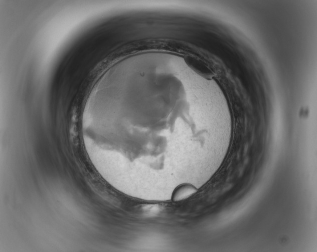 X0000115170050200911251343