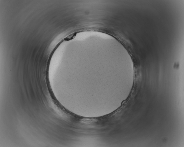 X0000115170051200911251343