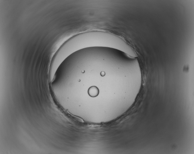 X0000115170052200911251343