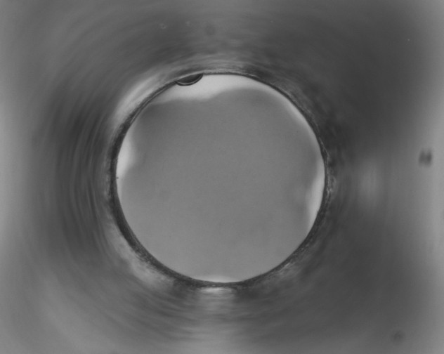 X0000115170053200911251343