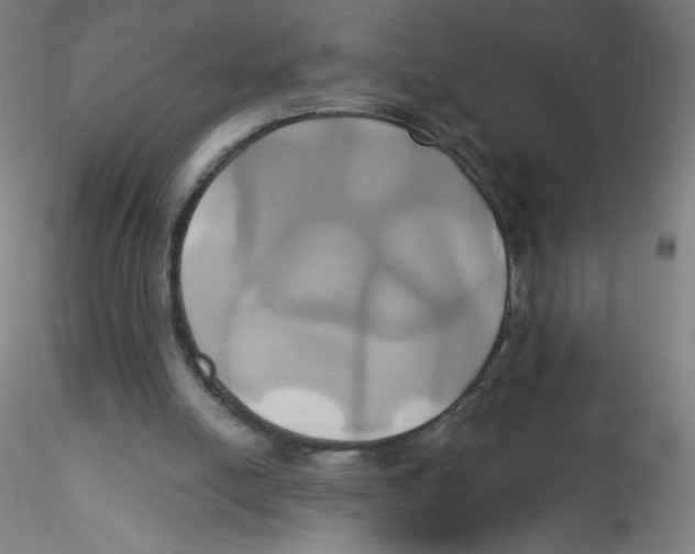 X0000115170054200911251343