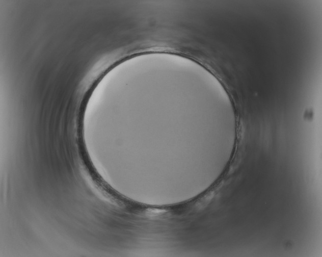 X0000115170055200911251343