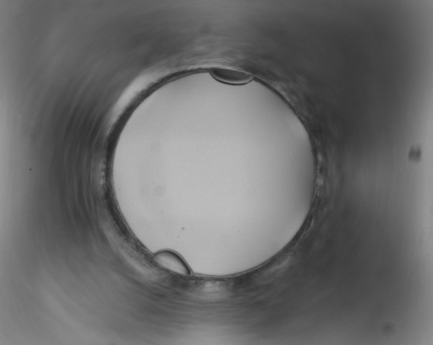 X0000115170056200911251343