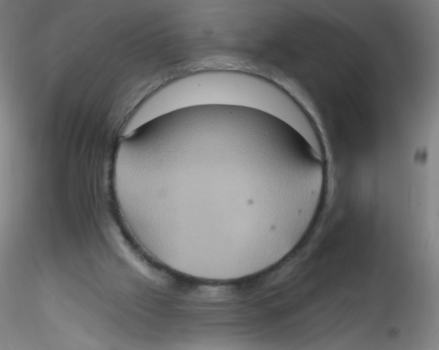 X0000115170057200911251343