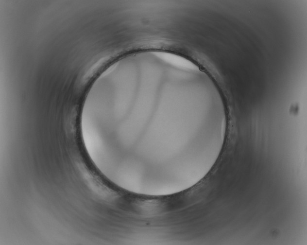 X0000115170058200911251343