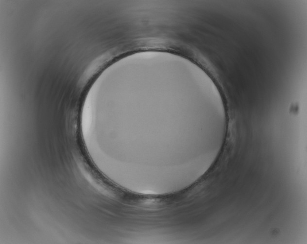 X0000115170059200911251343