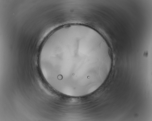 X0000115170060200911251343