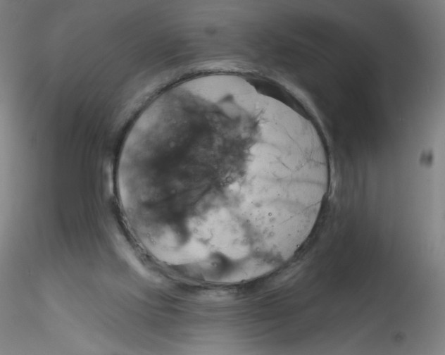 X0000115170061200911251343