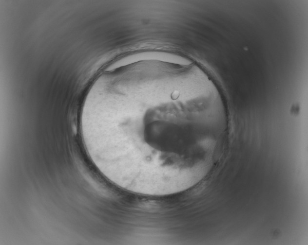 X0000115170062200911251343