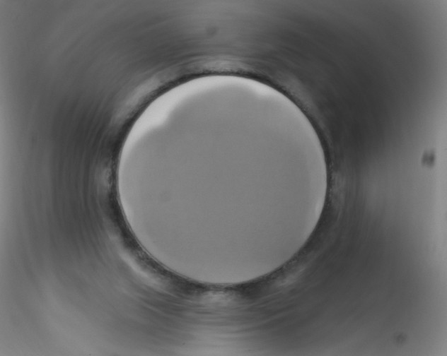 X0000115170063200911251343