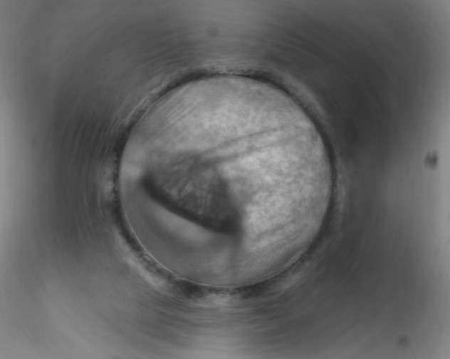 X0000115170065200911251343