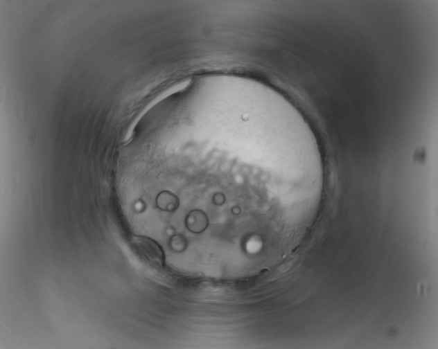 X0000115170066200911251343