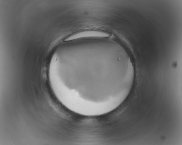 X0000115170067200911251343