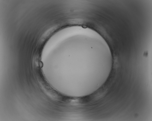 X0000115170068200911251343