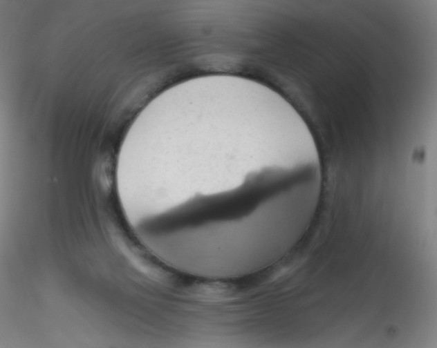 X0000115170069200911251343