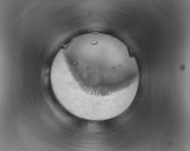 X0000115170070200911251343