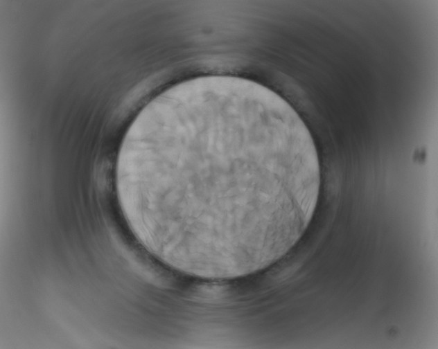 X0000115170071200911251343