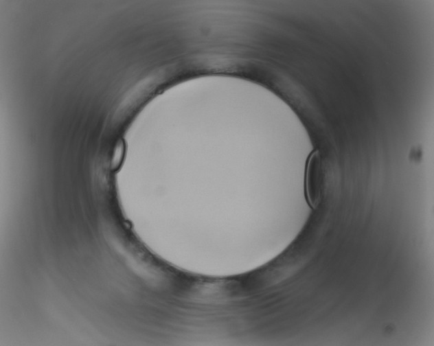 X0000115170072200911251343