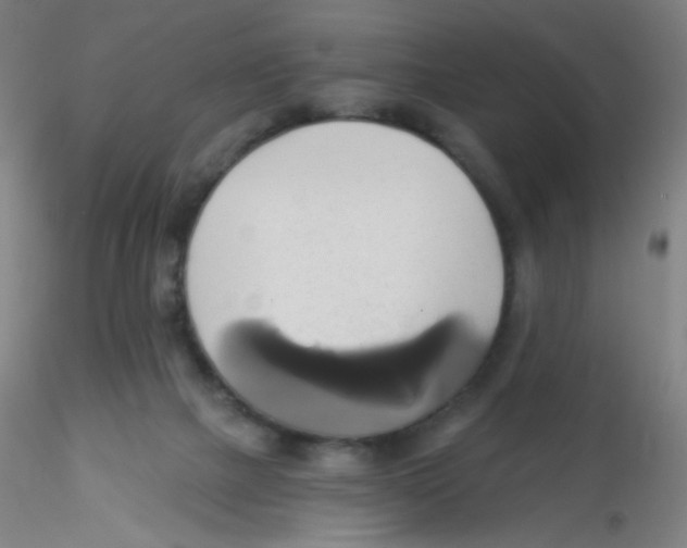 X0000115170073200911251343