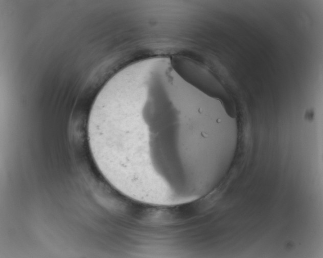 X0000115170074200911251343