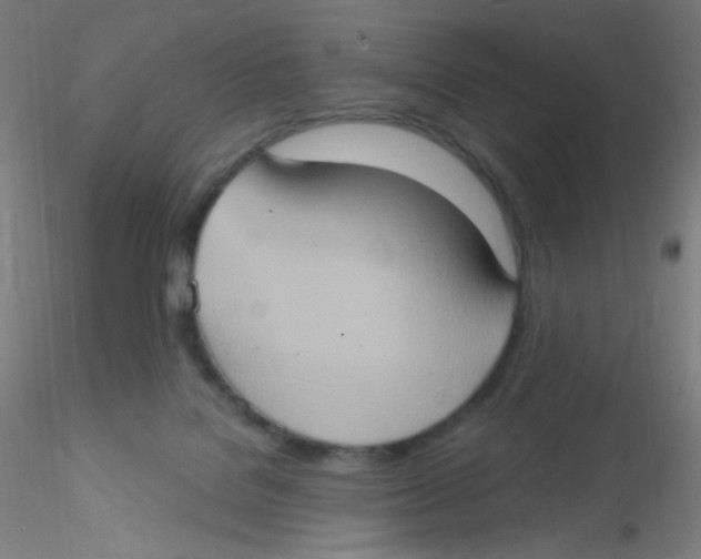 X0000115170076200911251343