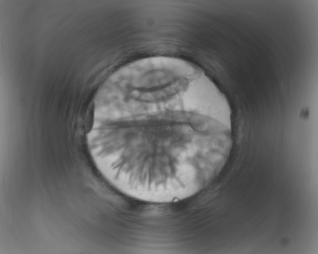 X0000115170077200911251343