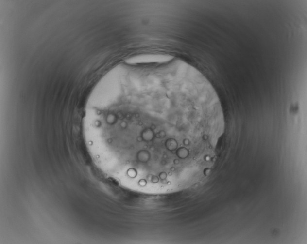 X0000115170078200911251343