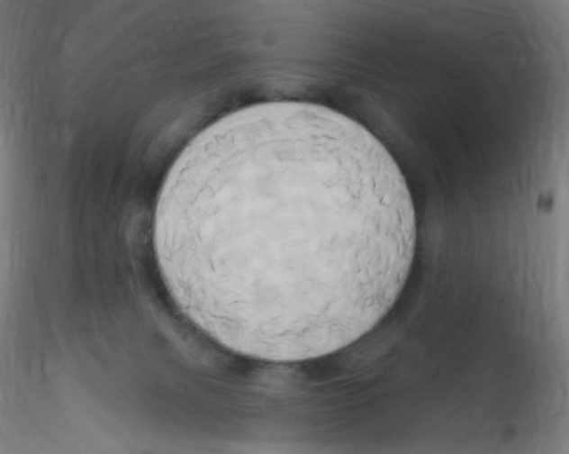 X0000115170079200911251343