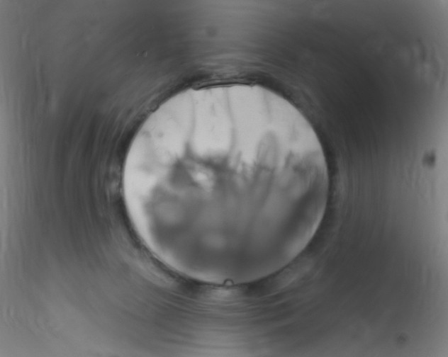 X0000115170081200911251343