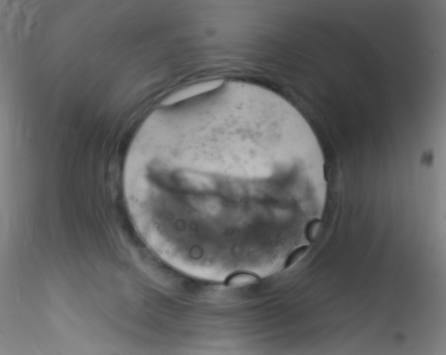 X0000115170082200911251343