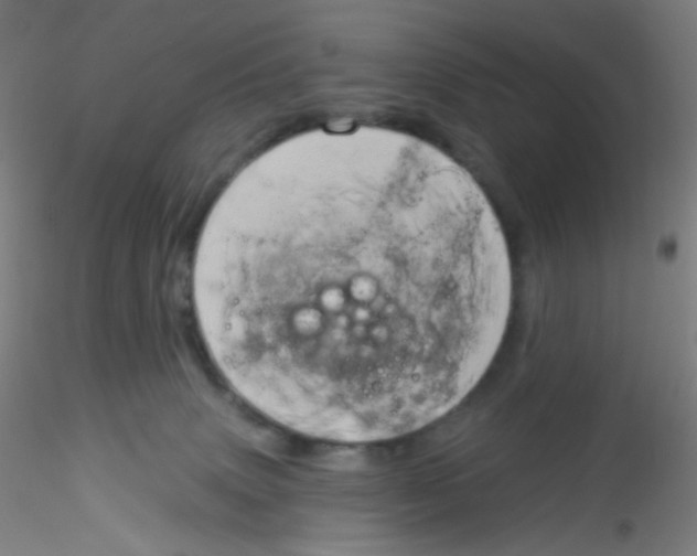 X0000115170083200911251343