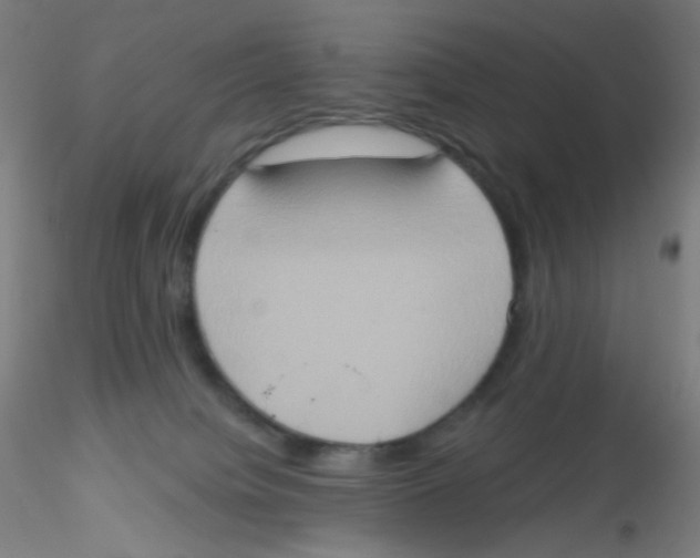 X0000115170084200911251343