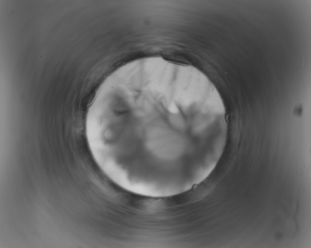 X0000115170085200911251343