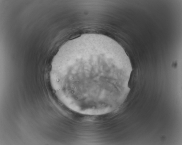 X0000115170086200911251343