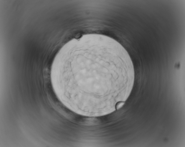 X0000115170087200911251343