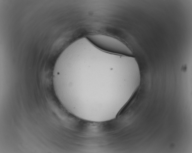 X0000115170088200911251343