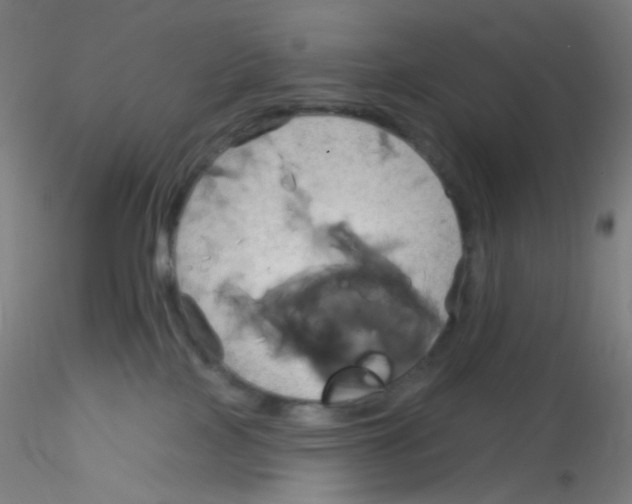 X0000115170089200911251343