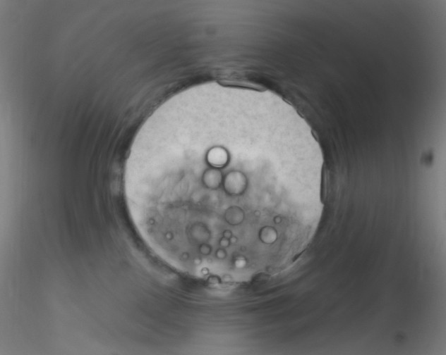 X0000115170090200911251343