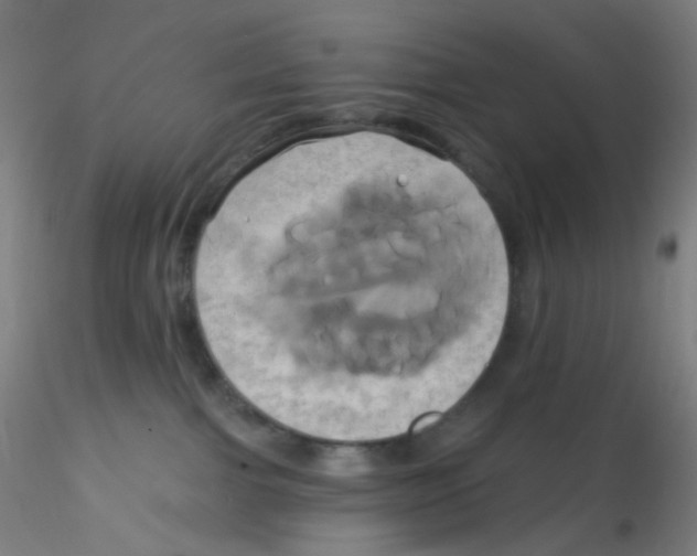 X0000115170091200911251343