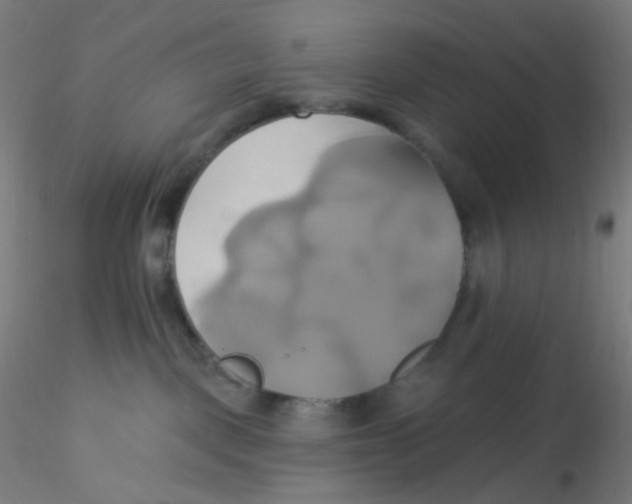 X0000115170093200911251343