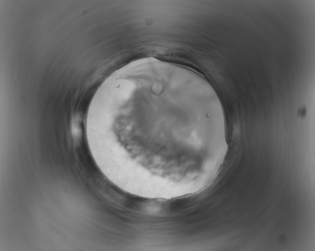 X0000115170094200911251343